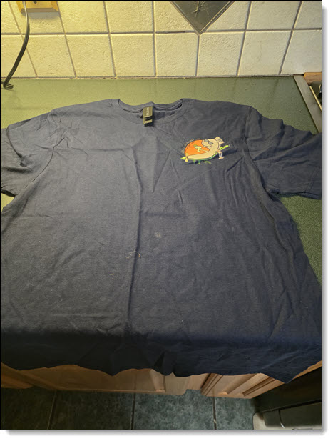 Front of Scamp 2025 reunion Tee shirt with reunion logo on left breast